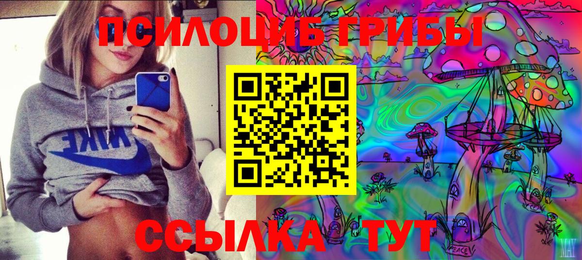 Россошь  Псилоцибиновые грибы Psilocybine cubensis  Вход с VPN  Псилоцибиновые грибы Psilocybine cubensis 