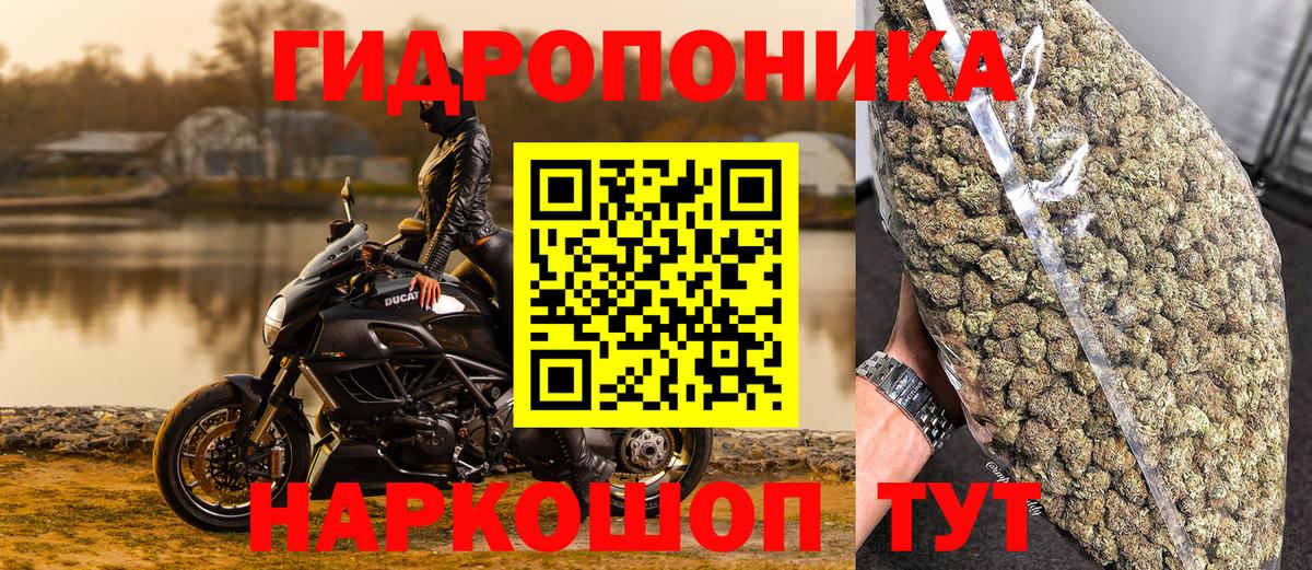 Бошки Шишки MAZAR  Бошки Шишки гибрид  Россошь  Вход с VPN  Бошки марихуана сатива 